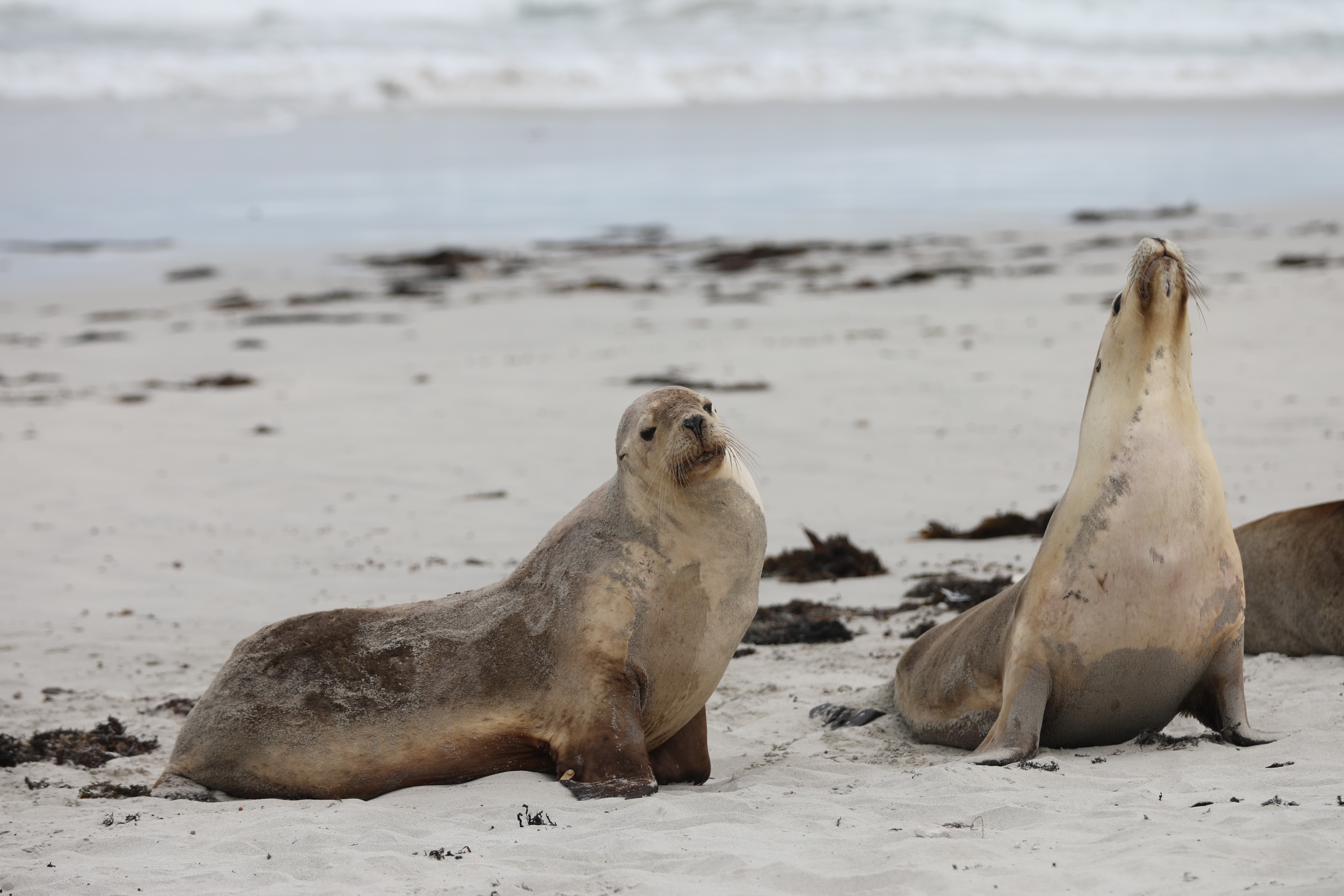 2019 09 29 12 39 16 Canon EOS 5D Mark IV 0022